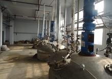 華中地區生物發酵項目